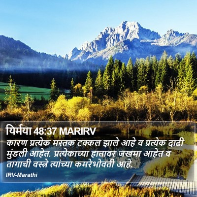 यिर्मया 48:37 MARIRV Bible Verse Image