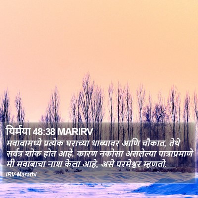 यिर्मया 48:38 MARIRV Bible Verse Image