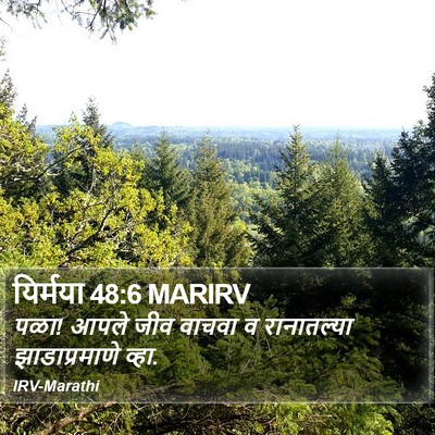यिर्मया 48:6 MARIRV Bible Verse Image