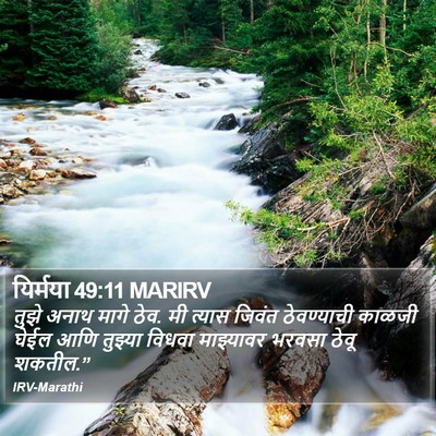 यिर्मया 49:11 MARIRV Bible Verse Image