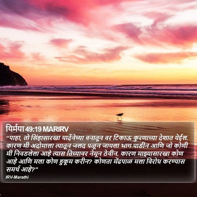यिर्मया 49:19 MARIRV Bible Verse Image