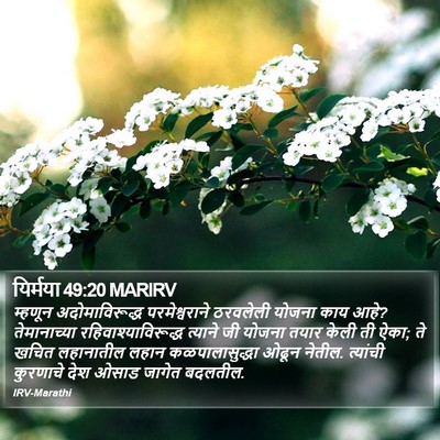 यिर्मया 49:20 MARIRV Bible Verse Image