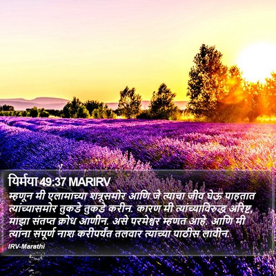 यिर्मया 49:37 MARIRV Bible Verse Image