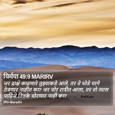 यिर्मया 49:9 MARIRV Bible Verse Image