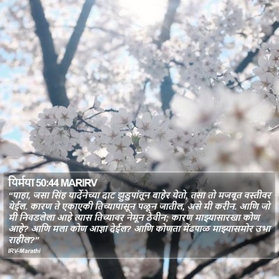 यिर्मया 50:44 MARIRV Bible Verse Image