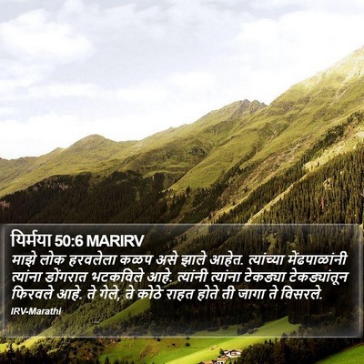 यिर्मया 50:6 MARIRV Bible Verse Image