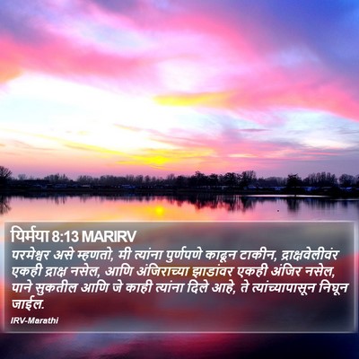 यिर्मया 8:13 MARIRV Bible Verse Image
