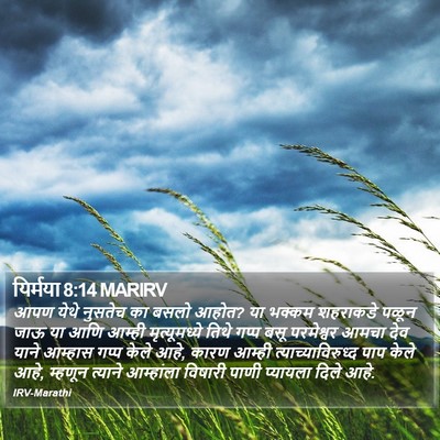यिर्मया 8:14 MARIRV Bible Verse Image
