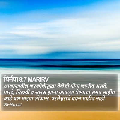 यिर्मया 8:7 MARIRV Bible Verse Image