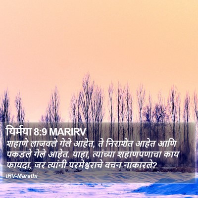 यिर्मया 8:9 MARIRV Bible Verse Image
