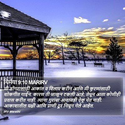 यिर्मया 9:10 MARIRV Bible Verse Image