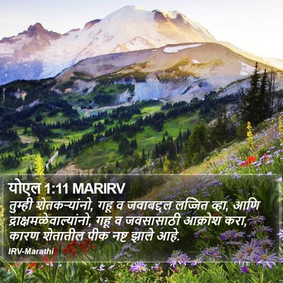 योएल 1:11 MARIRV Bible Verse Image