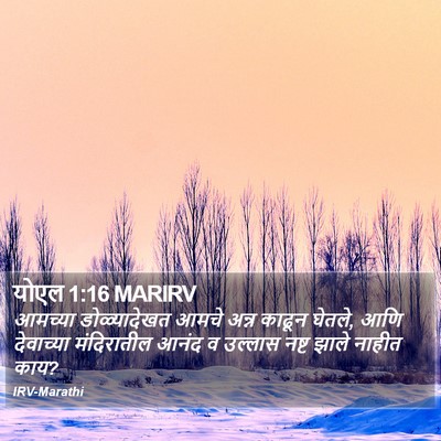 योएल 1:16 MARIRV Bible Verse Image