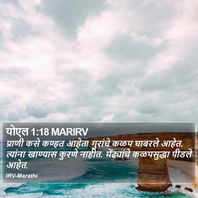 योएल 1:18 MARIRV Bible Verse Image