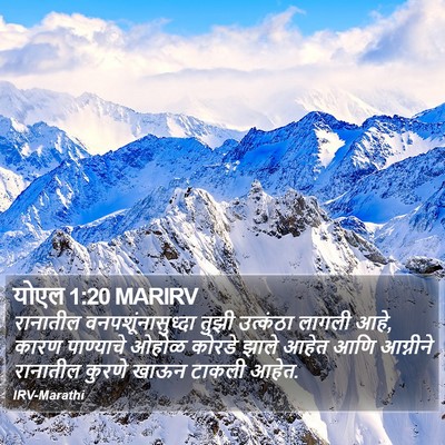 योएल 1:20 MARIRV Bible Verse Image