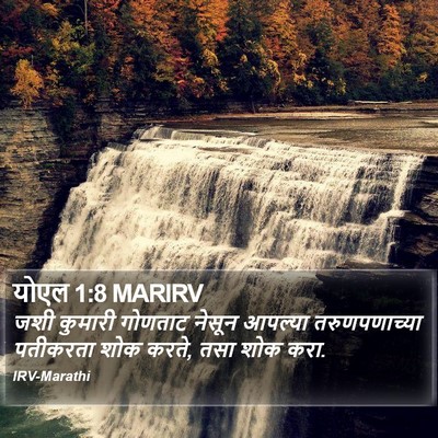 योएल 1:8 MARIRV Bible Verse Image