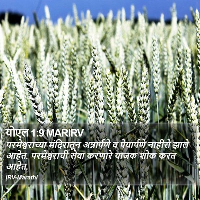 योएल 1:9 MARIRV Bible Verse Image