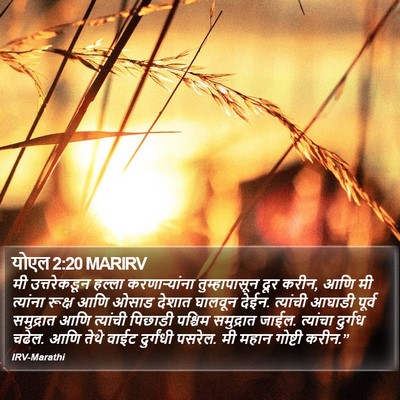 योएल 2:20 MARIRV Bible Verse Image