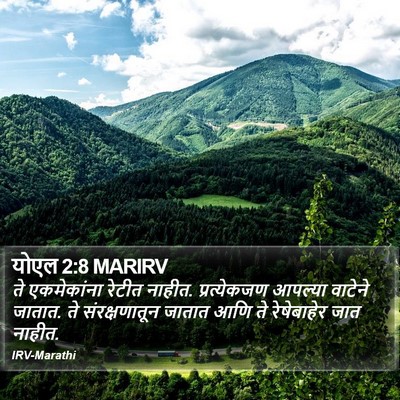 योएल 2:8 MARIRV Bible Verse Image
