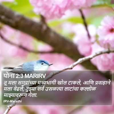 योना 2:3 MARIRV Bible Verse Image