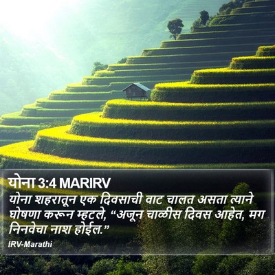 योना 3:4 MARIRV Bible Verse Image