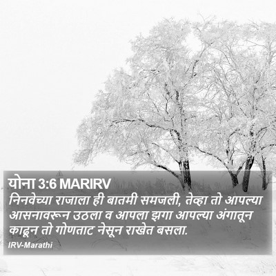 योना 3:6 MARIRV Bible Verse Image