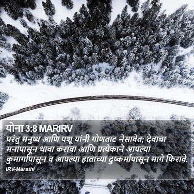 योना 3:8 MARIRV Bible Verse Image