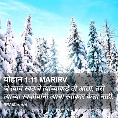 योहान 1:11 MARIRV Bible Verse Image