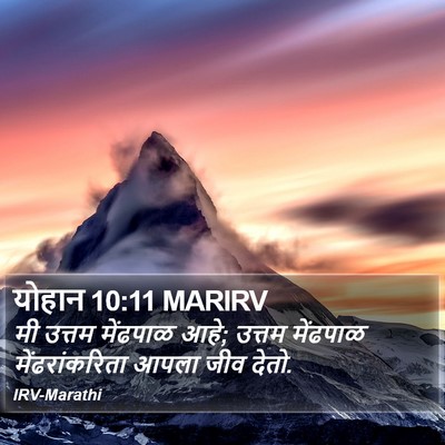 योहान 10:11 MARIRV Bible Verse Image