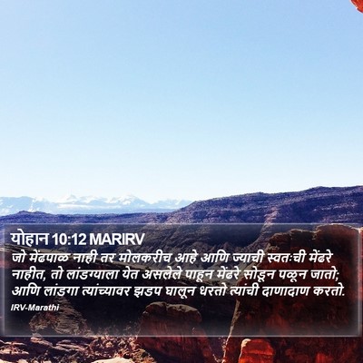 योहान 10:12 MARIRV Bible Verse Image