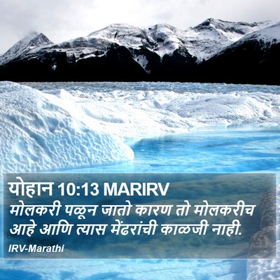 योहान 10:13 MARIRV Bible Verse Image