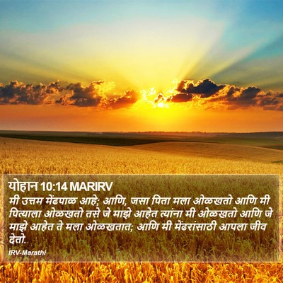 योहान 10:14 MARIRV Bible Verse Image