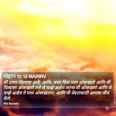 योहान 10:15 MARIRV Bible Verse Image