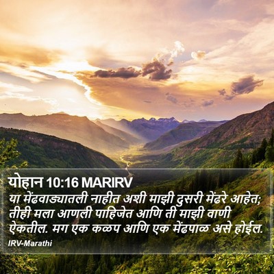 योहान 10:16 MARIRV Bible Verse Image