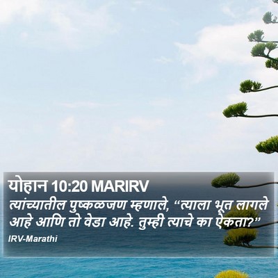 योहान 10:20 MARIRV Bible Verse Image