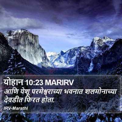योहान 10:23 MARIRV Bible Verse Image
