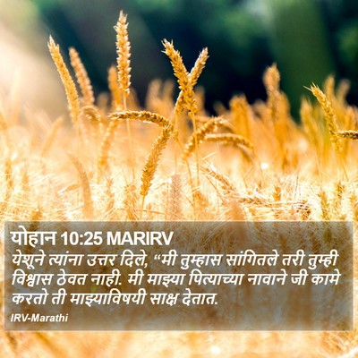 योहान 10:25 MARIRV Bible Verse Image