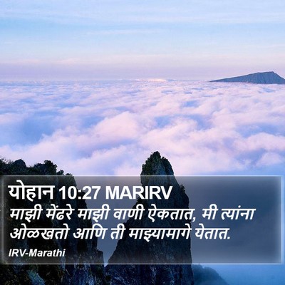 योहान 10:27 MARIRV Bible Verse Image