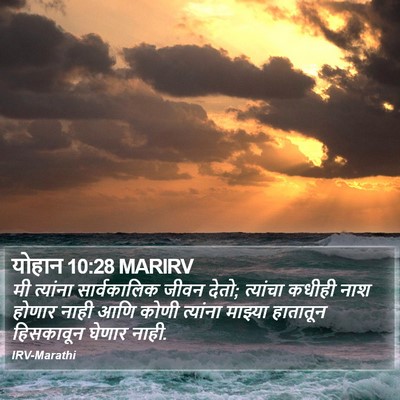 योहान 10:28 MARIRV Bible Verse Image