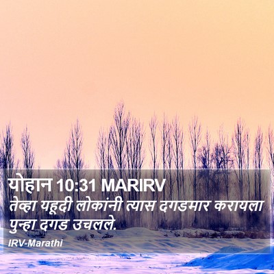 योहान 10:31 MARIRV Bible Verse Image