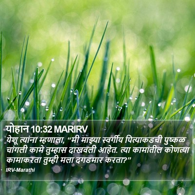 योहान 10:32 MARIRV Bible Verse Image