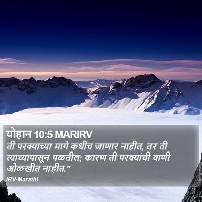 योहान 10:5 MARIRV Bible Verse Image