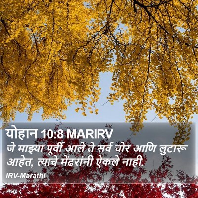 योहान 10:8 MARIRV Bible Verse Image