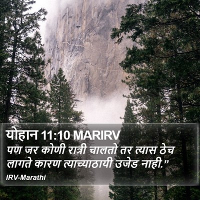 योहान 11:10 MARIRV Bible Verse Image