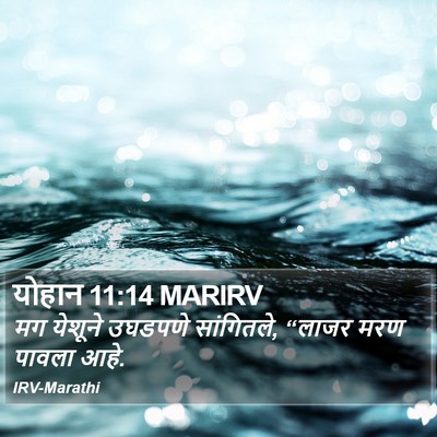 योहान 11:14 MARIRV Bible Verse Image