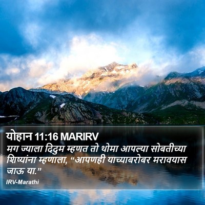 योहान 11:16 MARIRV Bible Verse Image