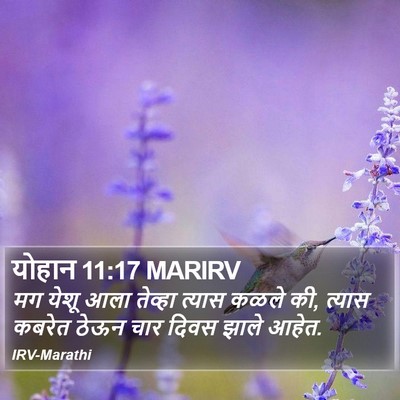 योहान 11:17 MARIRV Bible Verse Image
