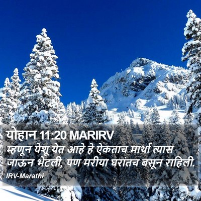 योहान 11:20 MARIRV Bible Verse Image