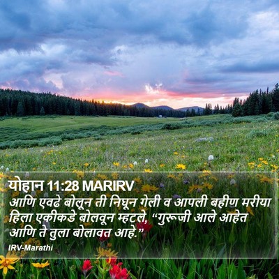 योहान 11:28 MARIRV Bible Verse Image