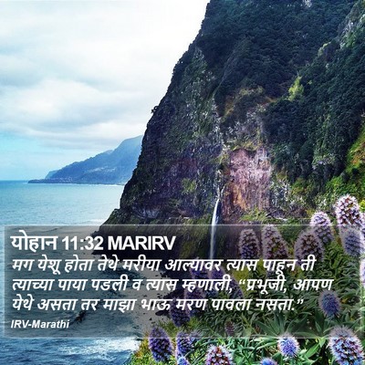 योहान 11:32 MARIRV Bible Verse Image